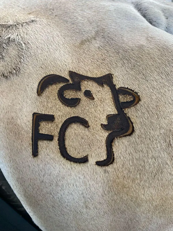 Marca FC no couro de um animal do plantel
